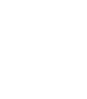 letter icon